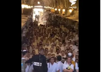 Θυσίασαν τις 5 κόκκινες δαμάλες; Χιλιάδες σιωνιστές μεσσιανιστές επιχειρούν να καταλάβουν το Αλ Ακσά για να κάνουν …