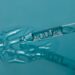 Θεσσαλονίκη: Εμβόλια mRNA (!!!!!!!!!!) για την Γρίπη των Πτηνών