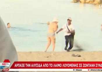 Απίστευτο: Κλέφτης αρπάζει αλυσίδα από το λαιμό λουόμενης σε ζωντανή σύνδεση | Σήμερα | 04/06/2024