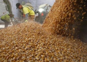 Κάτι ετοιμάζουν ή έρχεται μεγάλη πείνα λόγω Ουκρανίας; Η Τουρκία αυξάνει αιφνιδιαστικά τα αποθέματα τροφίμων της