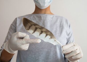 Λομωξιολόγος Γ. Παππάς: Είναι βέβαιο ότι θα έχουμε πανδημία από τη γρίπη των πτηνών