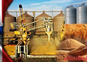 Η Νορβηγία θα αποθηκεύσει 82.500 τόνους σιτηρών για να προετοιμαστεί για ενδεχόμενο πόλεμο και πείνα…! Λίγες ημέρες πριν είχαμε αντίστοιχη κινητοποίηση της Δανίας…! Τι γνωρίζουν;