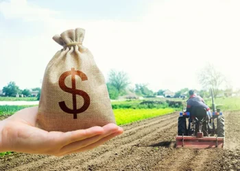 Βρετανοί αγρότες πληρώνονται απο το κράτος για να μην καλλιεργούν τρόφιμα!