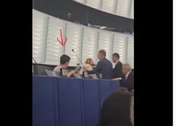 Ενώ οι γορίλες της ΕΕ έβγαζαν σηκωτή την Ομολογήτρια Αντιεμβολιάστρια Ορθοδοξάρα Ρωσόφιλη Ρουμάνα ευρωβουλευτή Diana Șoșoacă από την Ολομέλεια γιατί σήκωσε εικόνες του Χριστού …