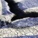 Επιφυλλίδα Κρινιώς Καλογερίδου : Ρήγματα στην Εξωτερική πολιτική που υπονομεύουν την Ελλάδα