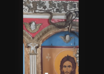 Τεράστιο φίδι μέσα σε Εκκλησία της Σταμνάς
