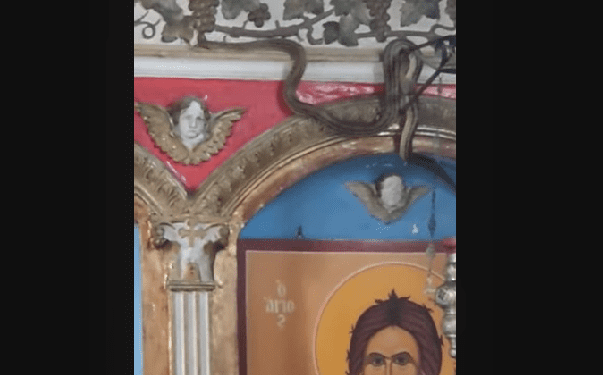 Τεράστιο φίδι μέσα σε Εκκλησία της Σταμνάς