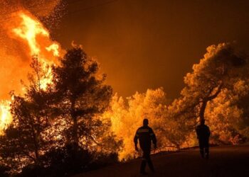 Στρατηγός Ταμουρίδης : Τεράστιες ευθύνες πυρός!