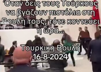 Κυριάκος Τσίτσικας : Όταν δείς και κάτσουν οι Τούρκοι μες την εθνοσυνέλευση τους και τραβήξουν πιστόλια…