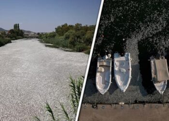 Έγκλημα χωρίς τιμωρία και περιβαλλοντική βόμβα στον Παγασητικό