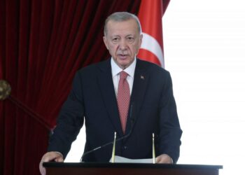 Επιφυλλίδα Κρινιώς Καλογερίδου : Η  δύναμη της γλώσσας στη ρητορική του Ερντογάν