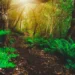 Ευλογημένη διάκριση