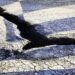 Πρωτοπρεσβ. Κωνσταντίνος Π. : Η απομυθοποίηση της πλάνης του ψευτορωμαίικου