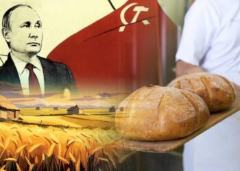 Θα πούμε το ψωμί-ψωμάκι-Γιατί η Ρωσία συγκεντρώνει 132 εκατομμύρια τόνους σιτάρι ειδικά για το 2024;