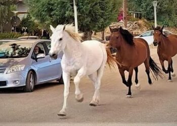 Τώρα που έρχεται η πείνα να γίνουμε…ΣΥΝΑΝΘΡΩΠΟΙ