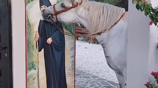 Δέος! Μέχρι και στην εικόνα του τα πλάσματα του Θεού νιώθουν την Χάρη της Αγιοσύνης του Αγίου Παϊσίου