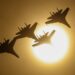 Μια ανάσα: ΒΙΝΤΕO δείχνει ρωσικό Su-35 να προκαλεί «ζαλάδα» σε αμερικανικό μαχητικό