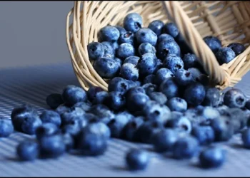 Μύρτιλα, άγρια μύρτιλλα. Super foods για καρδιά, παχυσαρκία, διαβήτη, καρκίνο, μάτια, αντιγήρανση, μεταβολικό σύνδρομο