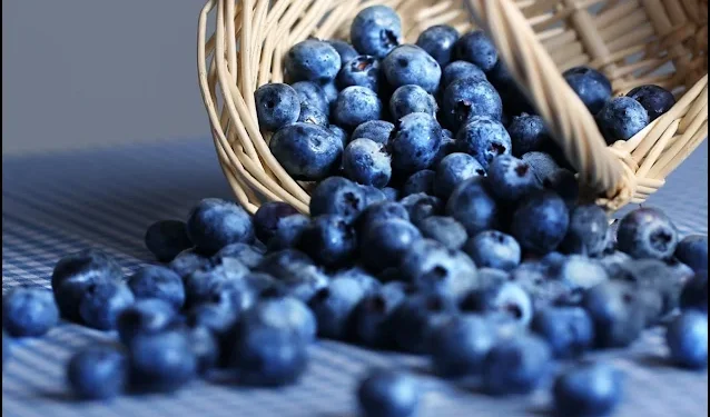 Μύρτιλα, άγρια μύρτιλλα. Super foods για καρδιά, παχυσαρκία, διαβήτη, καρκίνο, μάτια, αντιγήρανση, μεταβολικό σύνδρομο