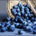 Μύρτιλα, άγρια μύρτιλλα. Super foods για καρδιά, παχυσαρκία, διαβήτη, καρκίνο, μάτια, αντιγήρανση, μεταβολικό σύνδρομο