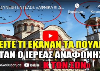 ΣΥΝΕΒΗ ΕΝΤΕΛΩΣ ΞΑΦΝΙΚΑ !!! Δείτε τι έπαθαν όλα τα πουλιά όταν ο Ιερέας ΑΝΑΦΏΝΗΣΕ «Τα σα εκ των Σων»