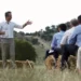 Έθνος σανοφάγων: Τα ΜΜΕ παρουσίασαν ως πρωτοβουλία του Μητσοτάκη τις μειώσεις των χρεώσεων στις τράπεζες – ενώ πρόκειται για υποχρεωτικό κανονισμό της Ε.Ε.!