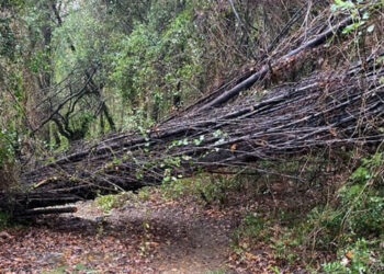 ΓΙΑ ΝΑ ΦΥΓΟΥΝ ΤΑ ΕΜΠΟΔΙΑ ΑΠΟ ΤΗΝ ΖΩΗ ΜΑΣ… π.Διονύσιος Ταμπάκης