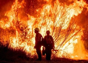 Γ.Μ : Σημεία και φαινόμενα ….