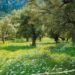 Μια Ελληνίδα με Χριστό και Ελλάδα : Λύσατε όλα τα προβλήματα και πιάσατε το ελαιόλαδο.