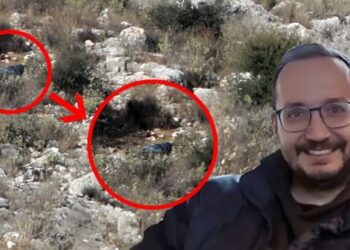 Μαρτυρία Κυνηγού: «Μέχρι αρχές Φεβρουαρίου δεν υπήρχε εκεί η σορός του Βασίλη»