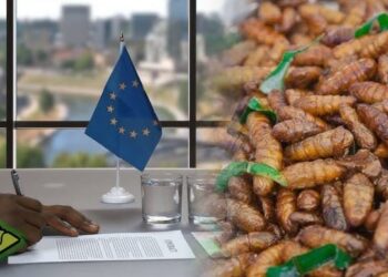 H EE ΕΝΕΚΡΙΝΕ ΑΠΟ ΤΙΣ 10 ΦΕΒΡΟΥΑΡΙΟΥ ΤΗ ΣΚΟΝΗ ΑΛΕΥΡΟΣΚΟΥΛΗΚΑ ΣΤΑ ΤΡΟΦΙΜΑ!