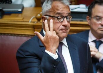 Δημήτρης Πλακιάς σε Βορίδη: αν είσαι άντρας και φοράς παντελόνια, έλα πρόσωπο με πρόσωπο να μου τα πεις από κοντά και …