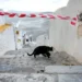 Νέος ισχυρός σεισμός 5,1 Ρίχτερ στη Σαντορίνη: «Θα δημιουργηθεί λιμάνι διαφυγής», λέει ο Κικίλιας