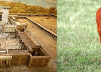 ΜΙΑ ΣΚΕΠΤΟΜΕΝΗ ΕΛΛΗΝΙΔΑ : ΟΤΑΝ ΟΙ “ΠΕΡΙΟΥΣΙΟΙ” ΚΑΝΟΥΝ ΣΧΕΔΙΑ Ο ΘΕΟΣ ΓΕΛΑΕΙ… ΧΑΧΑΧΑΧΑΧΑ…