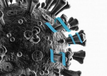 Εμβόλια mRNA και COVID-19: Πρωτεΐνες ακίδες βρέθηκαν στον εγκέφαλο ασθενών που απεβίωσαν από εγκεφαλικό!