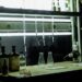 Είναι αυτός ο άνθρωπος που δημιούργησε τον COVID-19 στο εργαστήριο του Φάουτσι στις ΗΠΑ;