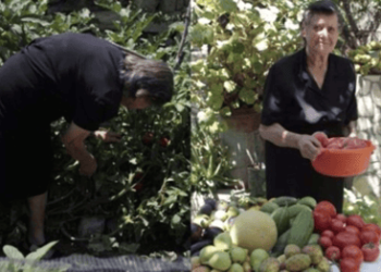 Αυτή η γιαγιά είναι η μεγαλύτερη εχθρός των supermarket και ο λόγος είναι απλός