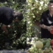 Αυτή η γιαγιά είναι η μεγαλύτερη εχθρός των supermarket και ο λόγος είναι απλός