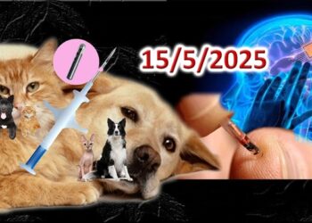 Διονύσης Μακρής : Πρώτα σφραγίσαμε τα ζώα και μετά…