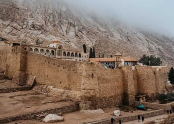 Παρασκευή Σιδέρη : Στην υγειά των απολαύσεων…