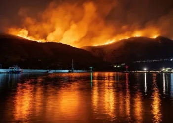Κωνσταντίνος Ι. Βαθιώτης: Ένα ακόμη καΚοκαίρι σε πλήρη εξέλιξη. Από την πύρινη κόλαση της Χίου στην υγειονομική κόλαση της…