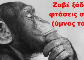 BAS_4 : Zαβέ ξάδερφε, θα φτάσεις στο Όρος; (ύμνος του ζαβού)