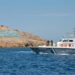 Καθηγητής του ΕΛΙΑΜΕΠ: Ορθώς η Ελλάδα περιορίστηκε αυστηρά εντός των χωρικών της υδάτων στο θαλάσσιο πάρκο στις Κυκλάδες (Βίντεο)