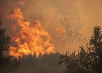 Πύρινος εφιάλτης σε Πάτρα, Φιλιππιάδα και Χίο – 100.000 καμένα στρέμματα και σπίτια – Οργή για την αδιαφορία Μητσοτάκη