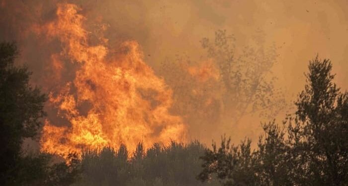 Πύρινος εφιάλτης σε Πάτρα, Φιλιππιάδα και Χίο – 100.000 καμένα στρέμματα και σπίτια – Οργή για την αδιαφορία Μητσοτάκη