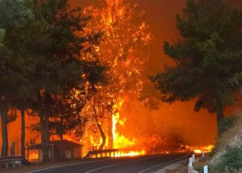 ΚΥΠΡΟΣ ΑΣΠΡΗΣ – ΑΚΟΜΑ ΜΙΑ ΤΡΑΓΩΔΙΑ ΒΡΗΚΕ ΤΗΝ ΗΜΙΚΑΤΕΧΟΜΕΝΗ ΚΥΠΡΟ…