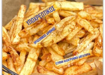 Κωνσταντίνος Ι. Βαθιώτης : Προσωπικός Αριθμός: Η τηγανητή πατάτα της ηλεκτρονικής δικτατορίας
