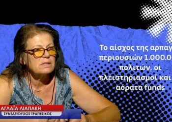 Το αίσχος της αρπαγής περιουσιών 1.000.000 πολιτών, οι πλειστηριασμοί και τα αόρατα funds-Α.Λιαπάκη