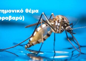 BAS_4 : Επιστημονικό θέμα (ελαφροβαρύ)