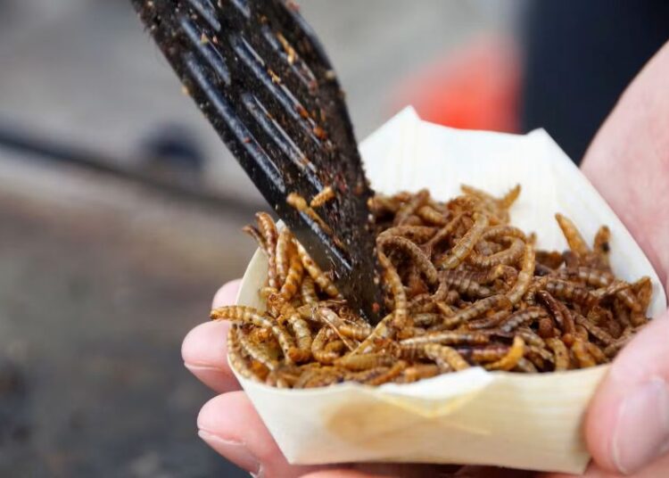 Image by ivabalk from PixabayFried mealworms served as a snack